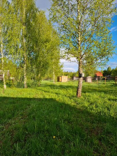 Участок 12 сот. (СНТ, ДНП)