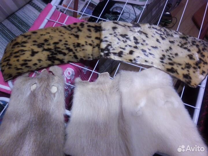 Шкурки нутрии