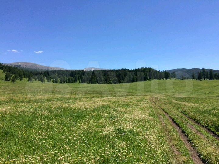 Участок 5,4 га (СНТ, ДНП)