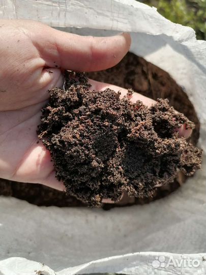 Конский навоз