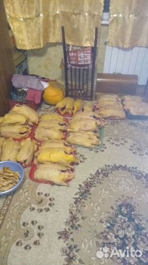 Утки Муларды