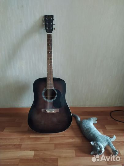 Акустическая гитара Adams