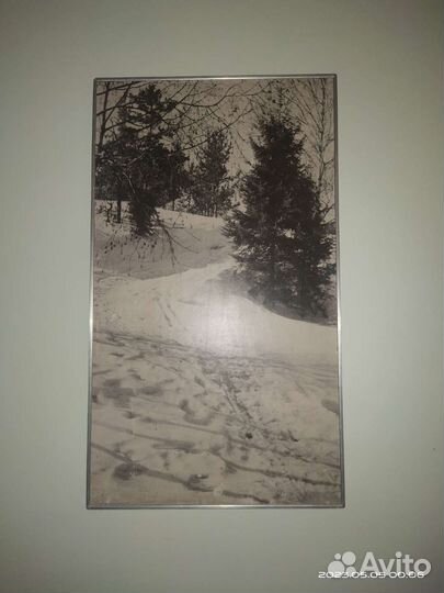 Картина-фотопейзаж