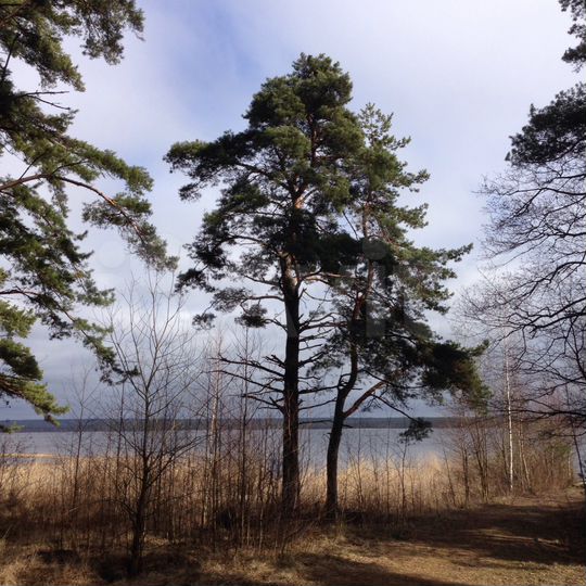 Участок 25 сот. (ИЖС)