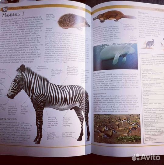 Книги на английском языке