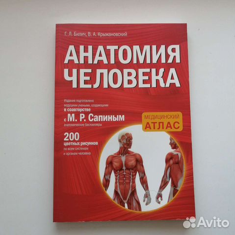 Сапин билич анатомия. Билич Зигалова. Анатомия человека медицинский атлас Билич Зигалова. Анатомия человека м.р Сапин , г.л Билич том 2. Билич Габриэль Лазаревич жена.