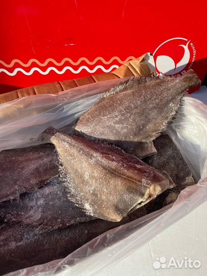 Палтус тушка