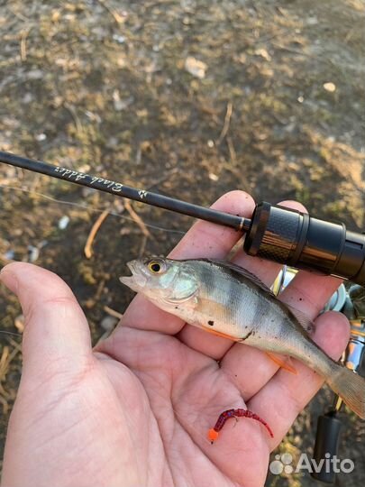 Мормышки для мормышинга