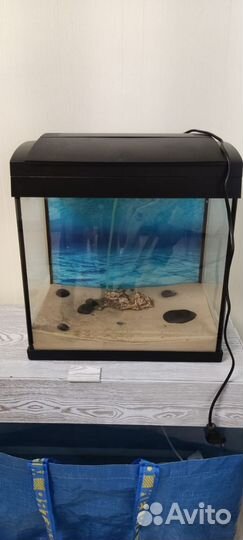 Аквариум