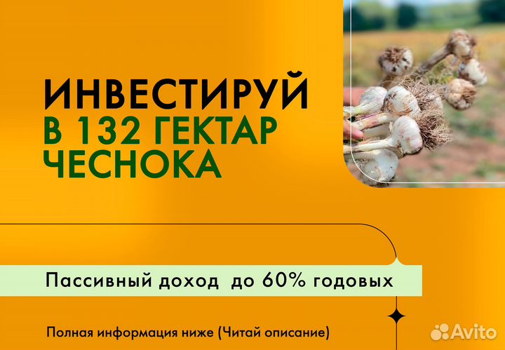 Инвестиции в готовый бизнес, ищу партнера