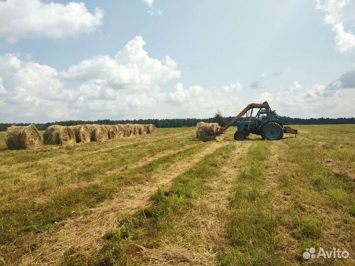 Сено в рулонах