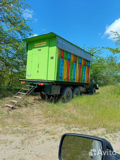 ЗИЛ 131.и пчелы павильон берендей 3