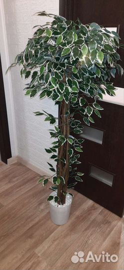 Искусственное дерево, Фикус Бенджамина