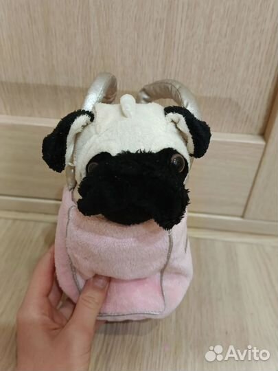 Мопс Чи Чи лов в сумке