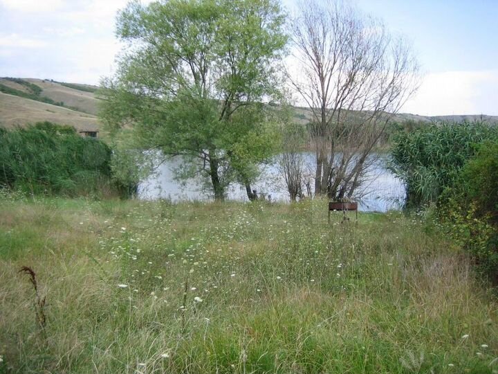Участок 35 га (СНТ, ДНП)