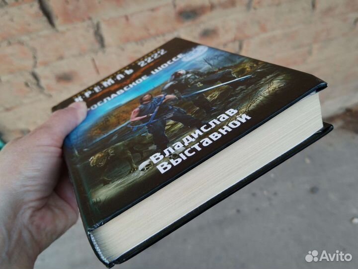 Силлов Дмитрий (Кремль 2222), Сталкер