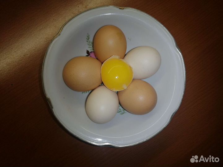 Домашние куриные яйца