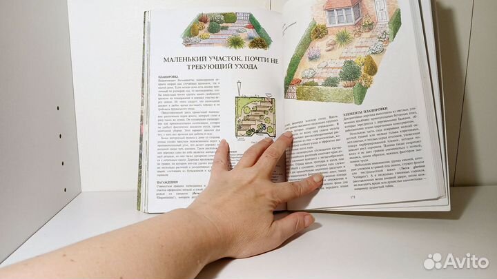 Т Ньюбери Всё о планировке сада ландшафтый дизайн