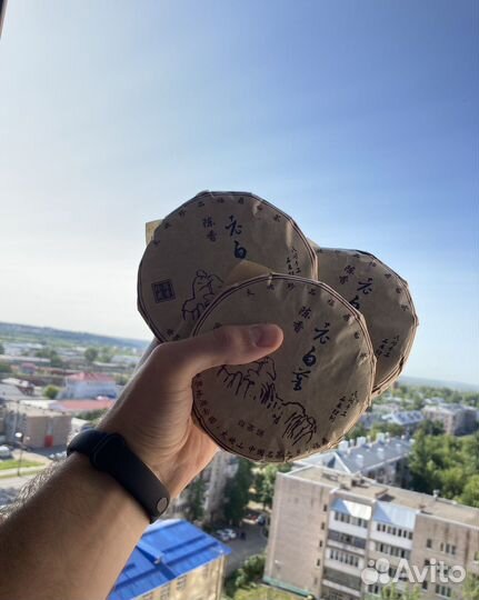 Китайский чай, Пуэр, дахунпао, тегуаньинь,Габа