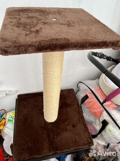 Когтеточка