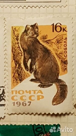 Марки СССР редкие