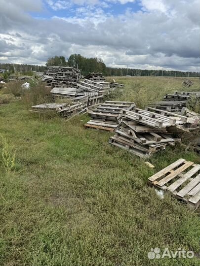 Дрова бесплатно