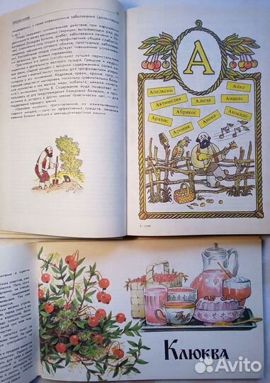 Книги Фруктовая Кулинария. Напитки