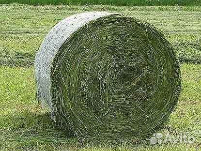 Луговое сено в рулонах. Обмен на крс, овцы