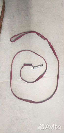 Поводок для собак