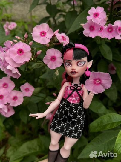 Monster high G3 ooak Дракулаура