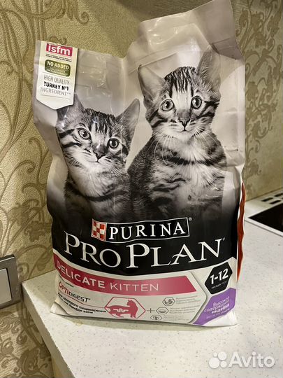 Корм для котят pro plan