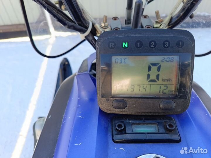 Динго (Dingo) T 125