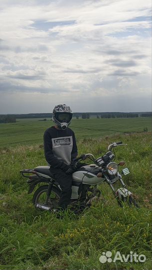 Alpha GS