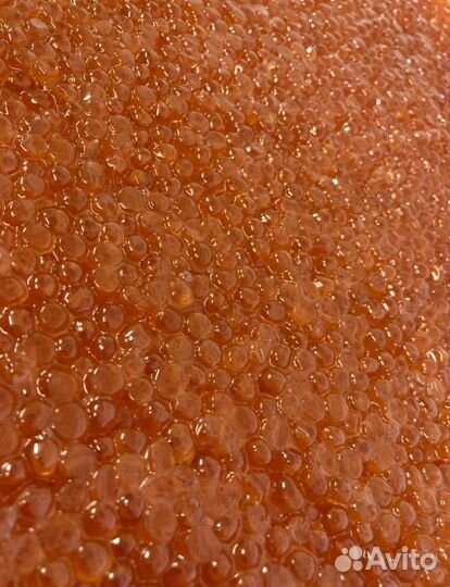 Икра красная Горбуши 2023