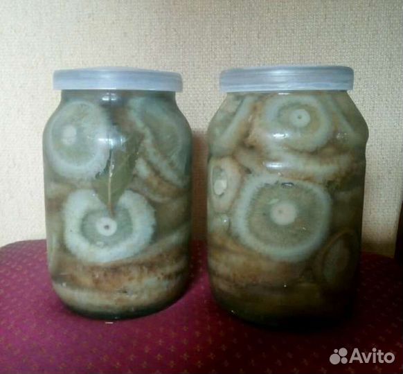 Грибы грузди солёные 2023