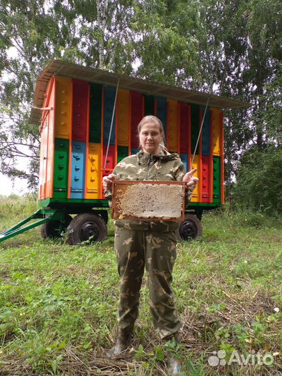 Пчелопавильон 52 семьи рут