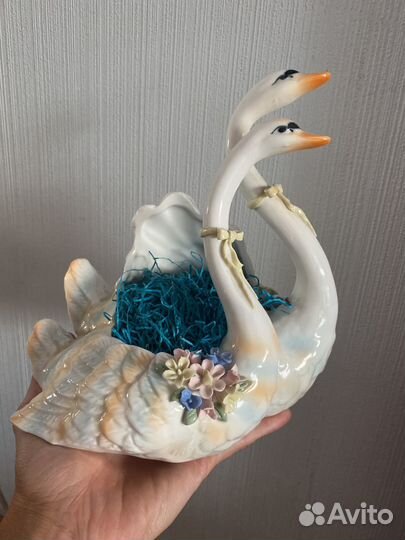 Хрустатьные лебеди