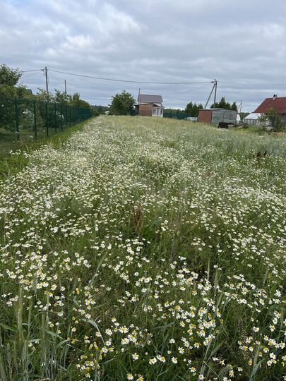 Участок 8 сот. (ИЖС)