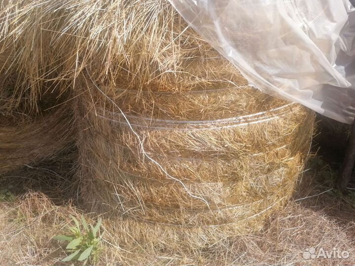 Сено в тюках