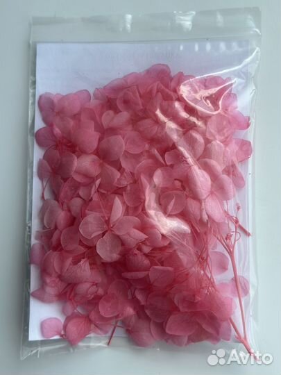 Сухоцветы для творчества/декора свечей/мыла