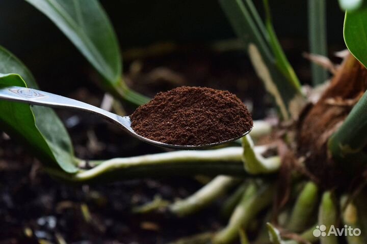 Кофейный жмых