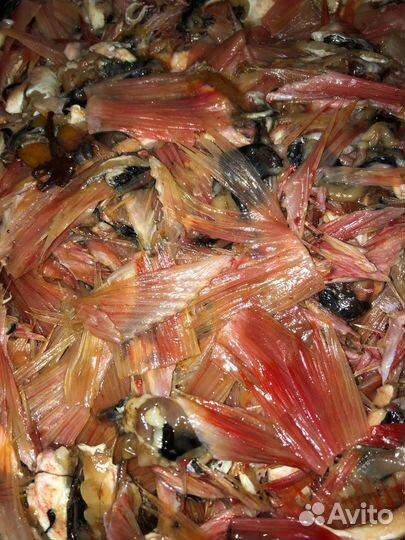 Рыбные отходы