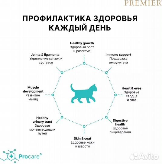 Корм для котят Premier индейка 2 кг