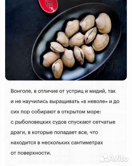 Клеммы вонголе