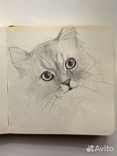 Рисунки на заказ по фото