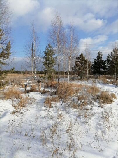 Участок 12,5 сот. (ИЖС)