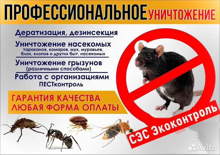 Обработка от клопов, клещей, кротов, комаров, крыс