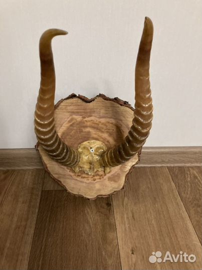 Настенное панно с рогами. Декаротивное украшение