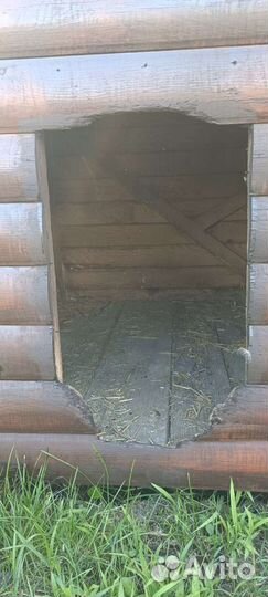 Будка для большой собаки