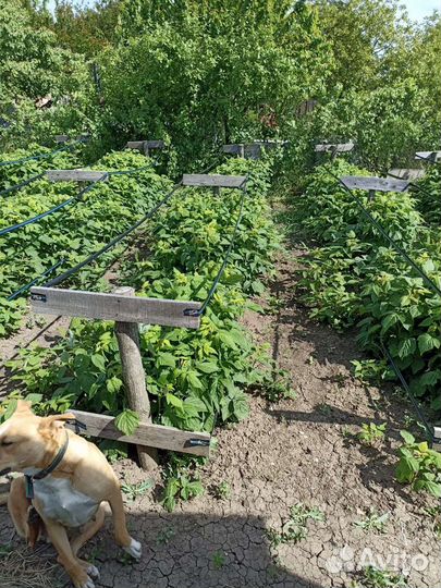 Продаю свое